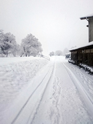 雪　玄関