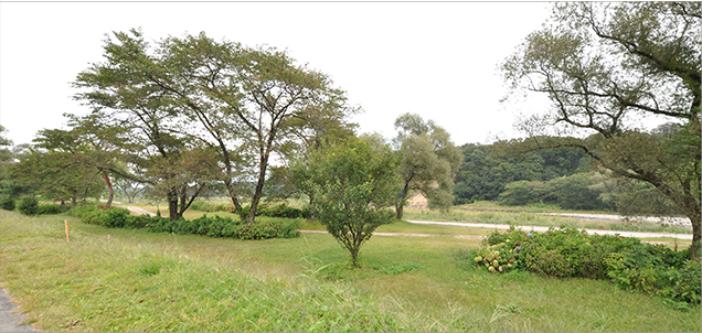 那珂川河畔公園